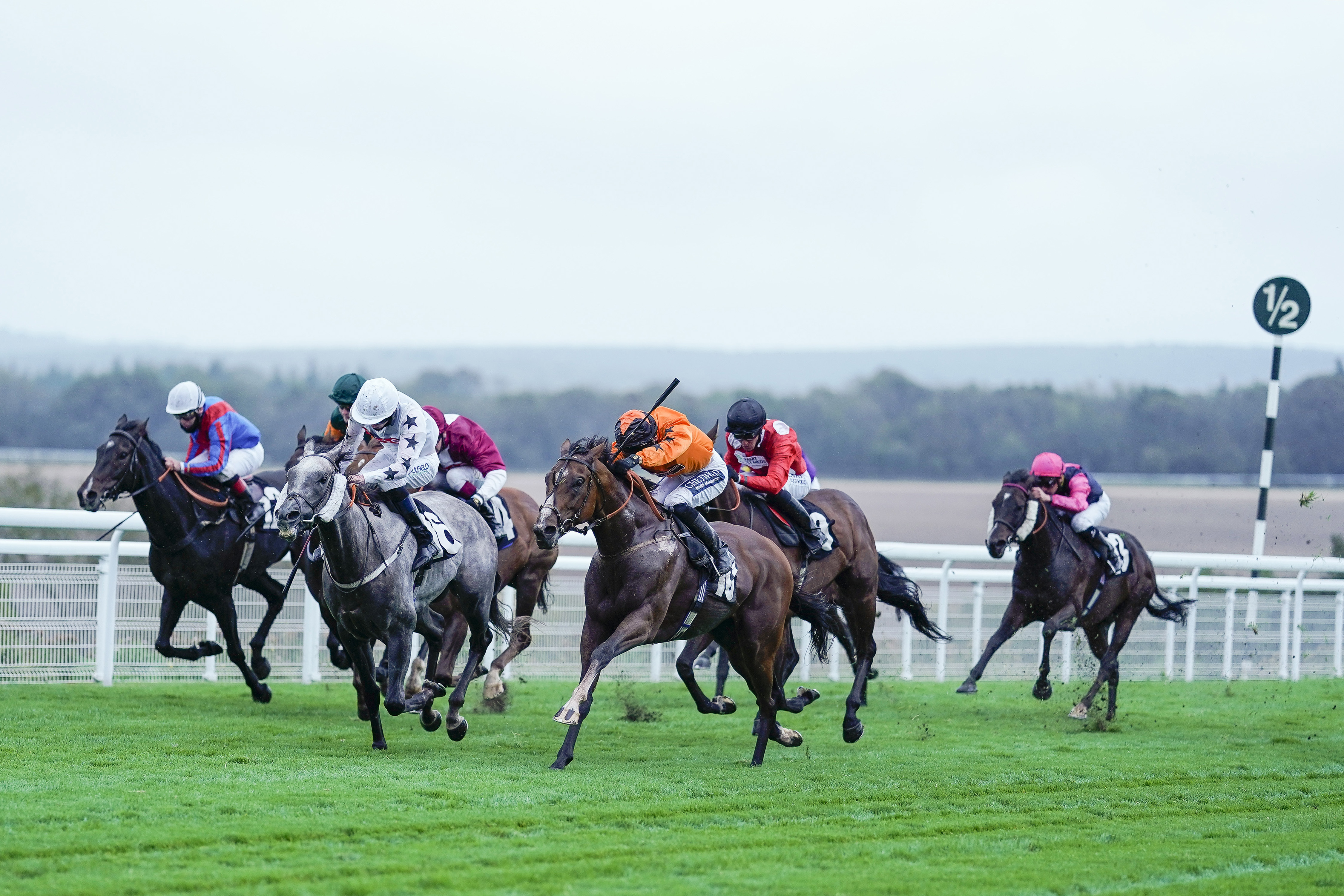 ITV Racing Tips – Tuesday 28th July 2026 Best Bets for Glorious Goodwood
