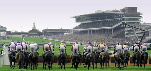 Cheltenham Festival Race