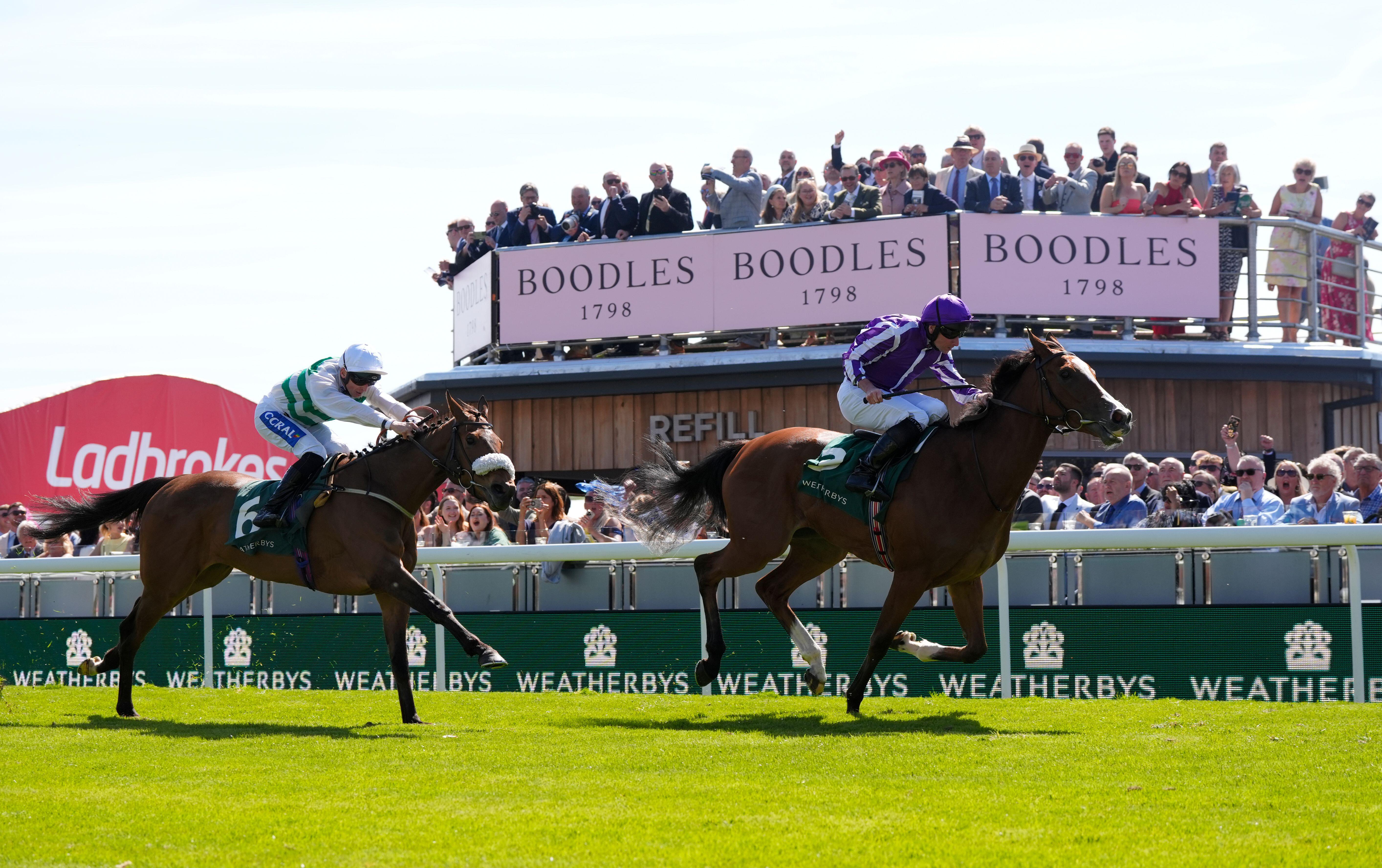 ITV Racing Tips – Saturday 30th May 2026 Best Bets for Carlisle ...