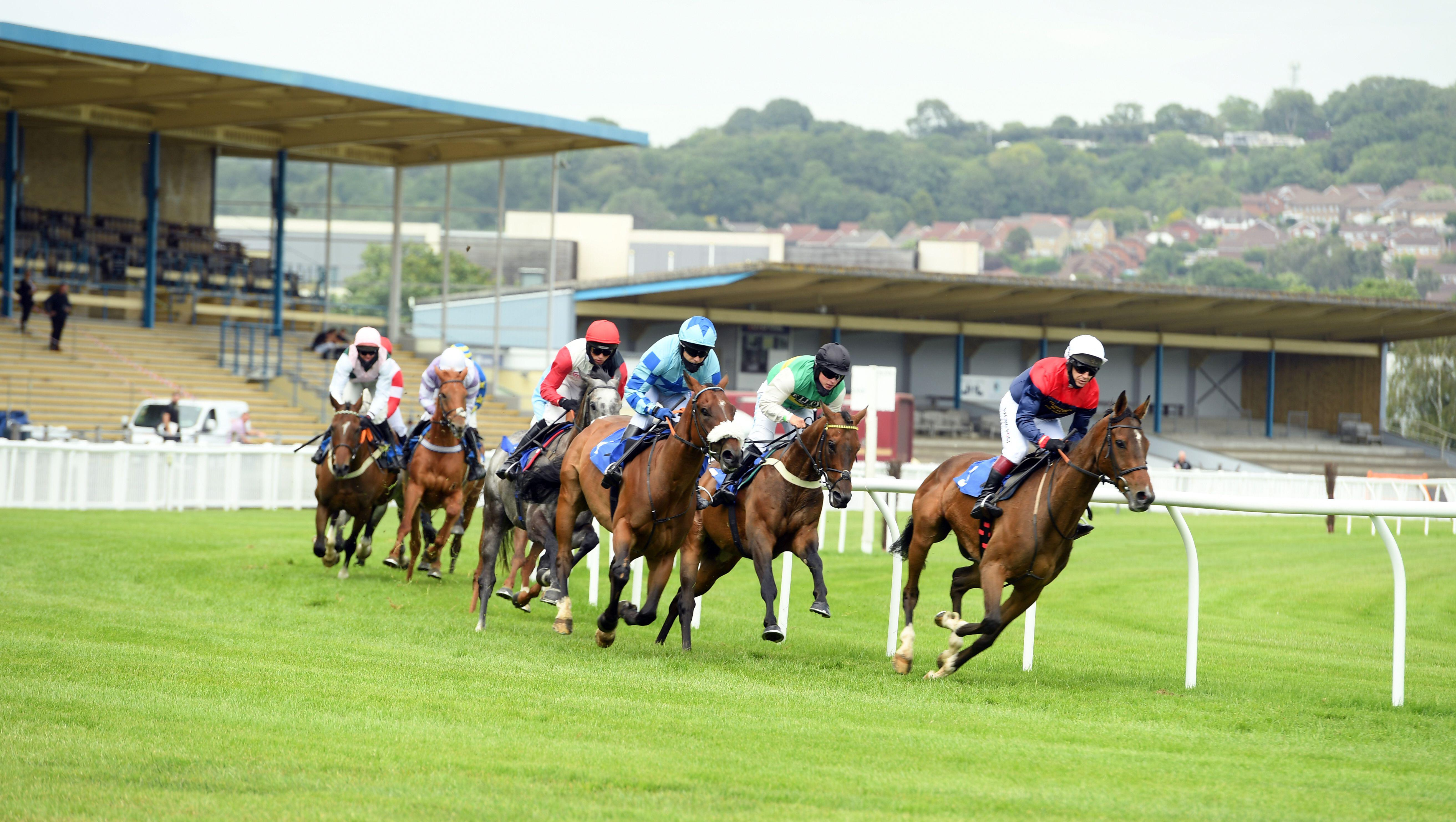 Toby Bulgin Racing Trainer Toby Bulgin Sends One Runner On The 550 Mile Round Trip To ...