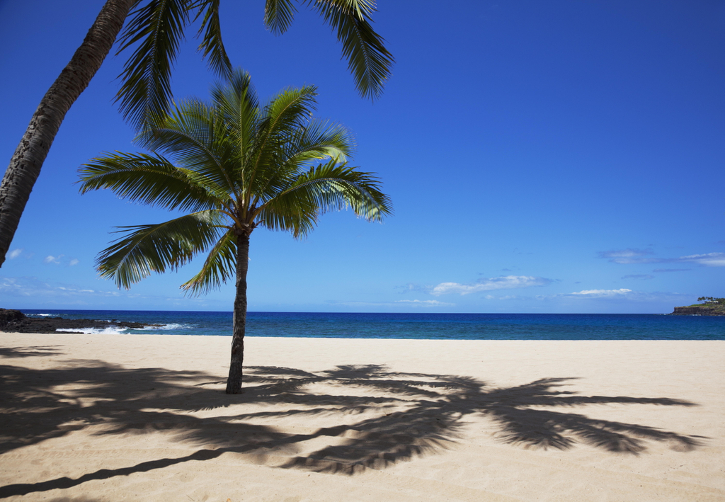 Love Island Beach