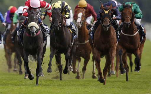 horse racing 