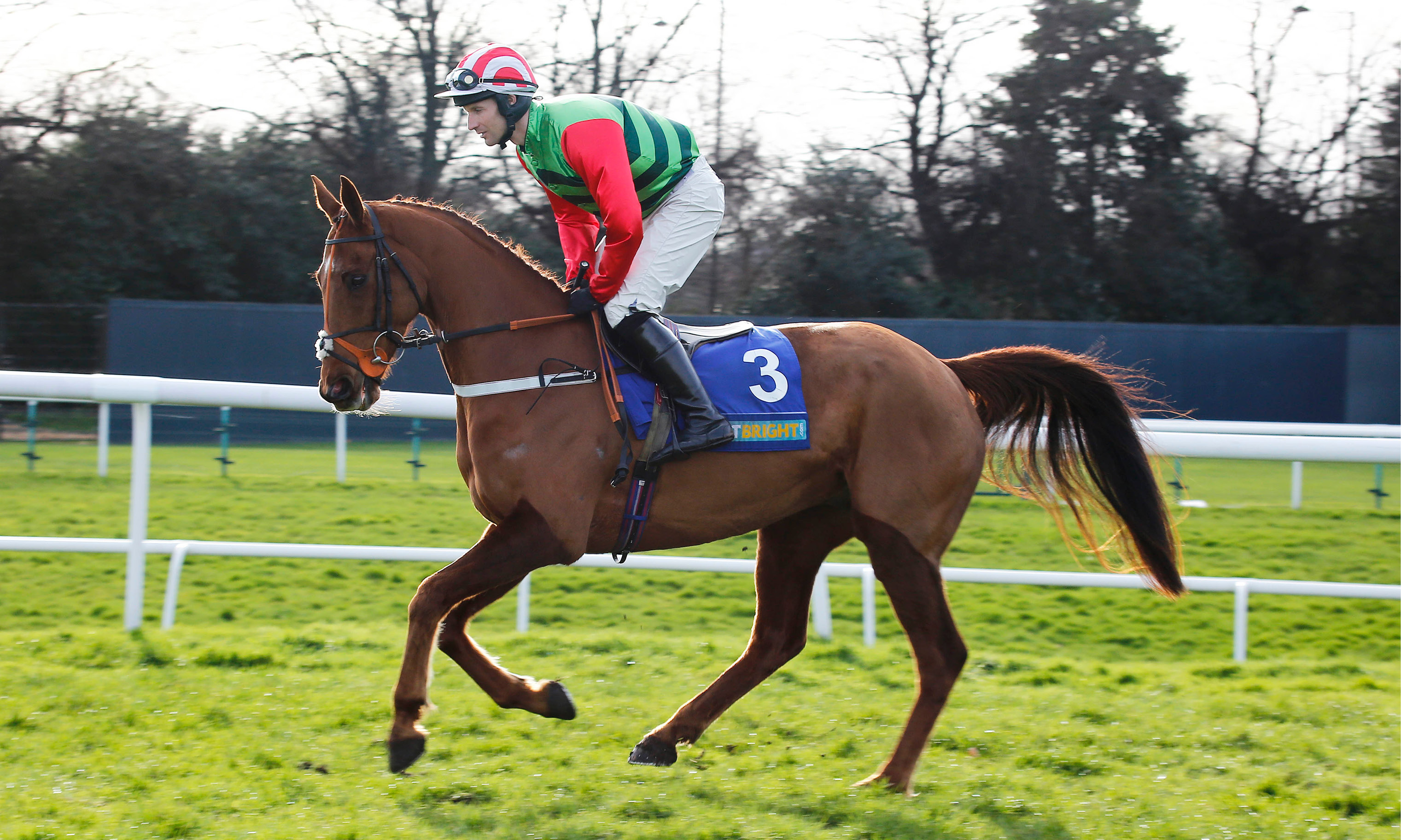 Butler landed with three-month ban | The Winners Enclosure
