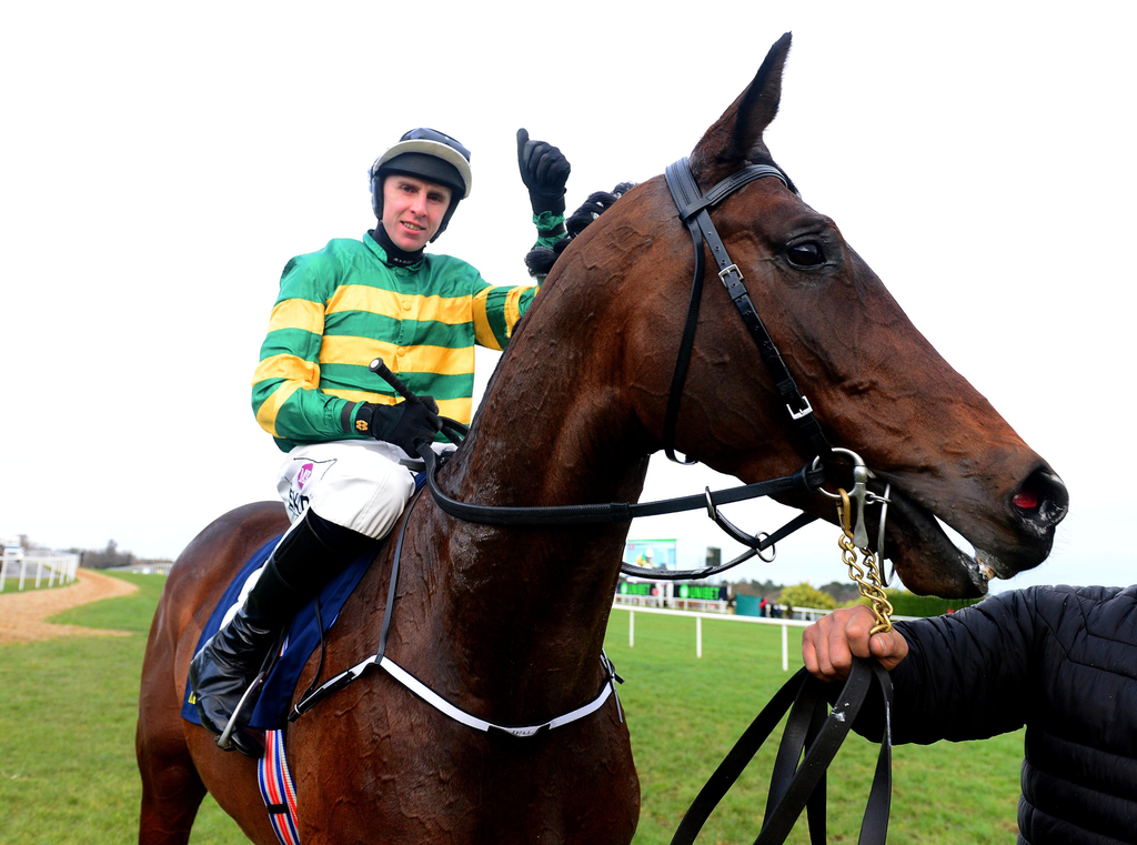 sir erec juvenile triumph hurdle joseph o brien mark walsh jp mcmanus