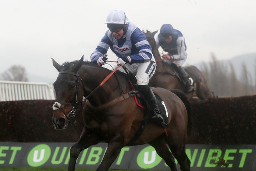 frodon bryony frost fences cup