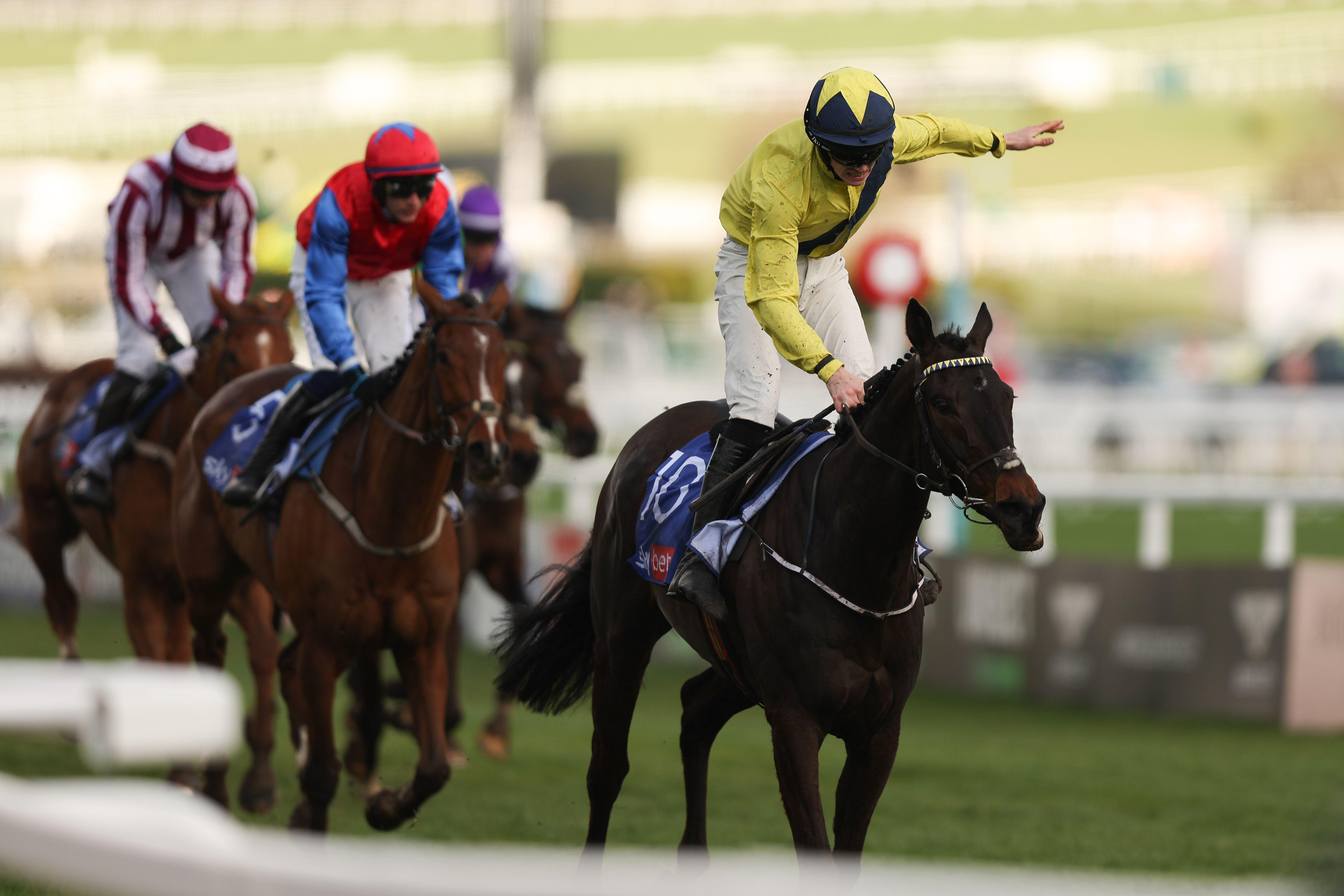 Cheltenham Festival Lucky 15 Tips For Day 1 - The Winners Enclosure ...